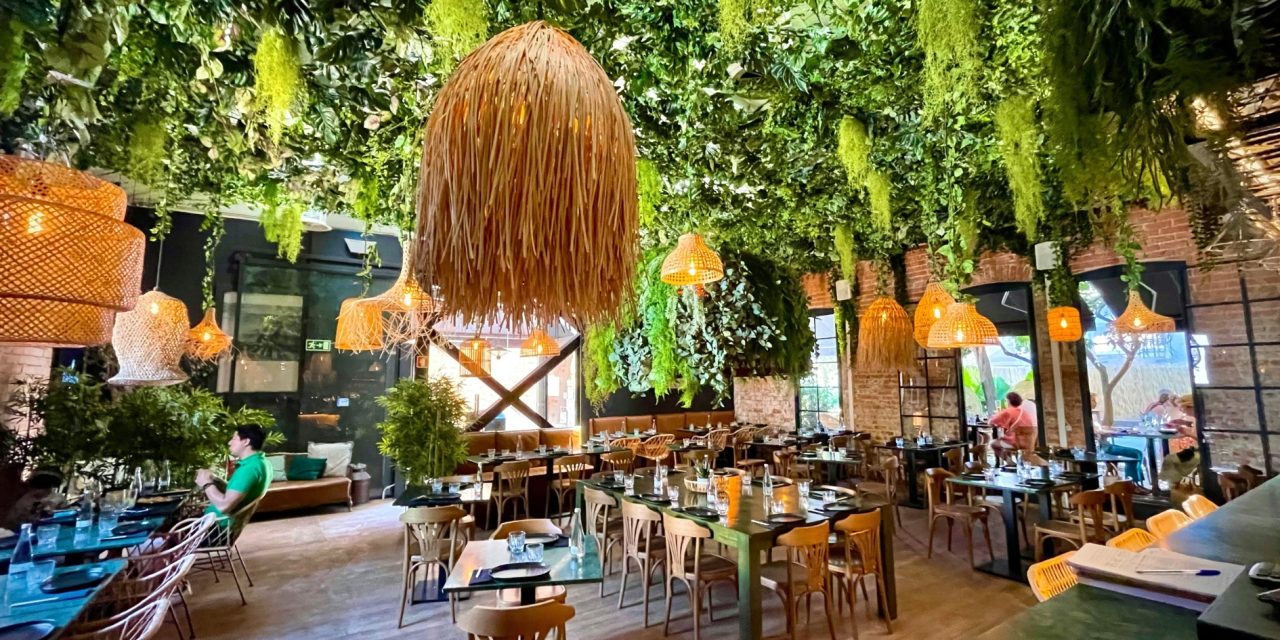 The Soul of Calm: Inside Lounge Music and Tropical Aesthetics