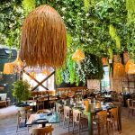 The Soul of Calm: Inside Lounge Music and Tropical Aesthetics