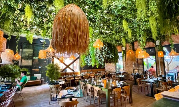 The Soul of Calm: Inside Lounge Music and Tropical Aesthetics