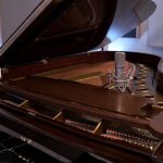 Climate Is Tone: Why Humidity Control Is Non-Negotiable for Pianos