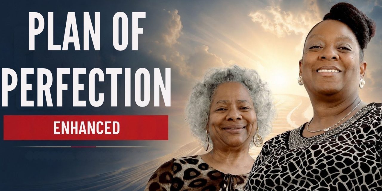 A New Visual and Sonic Chapter for “Plan of Perfection – Lounge Mix ENHANCED”