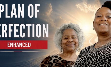 A New Visual and Sonic Chapter for “Plan of Perfection – Lounge Mix ENHANCED”